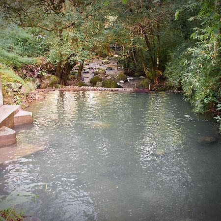 Mamallena Eco Lodge La Laguna de San Carlos Номер фото