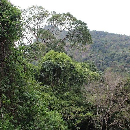 Mamallena Eco Lodge La Laguna de San Carlos Екстер'єр фото