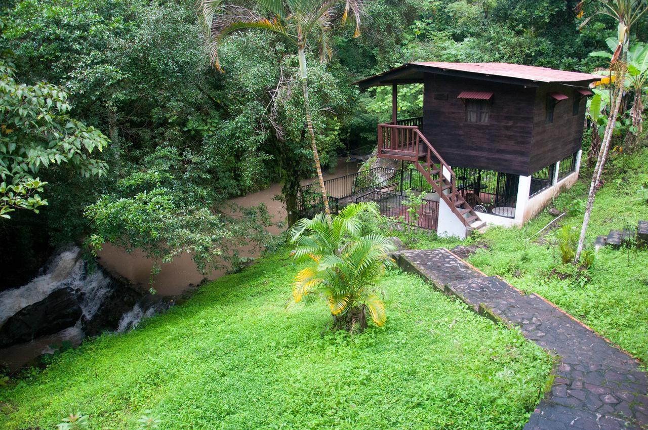 Mamallena Eco Lodge La Laguna de San Carlos Номер фото