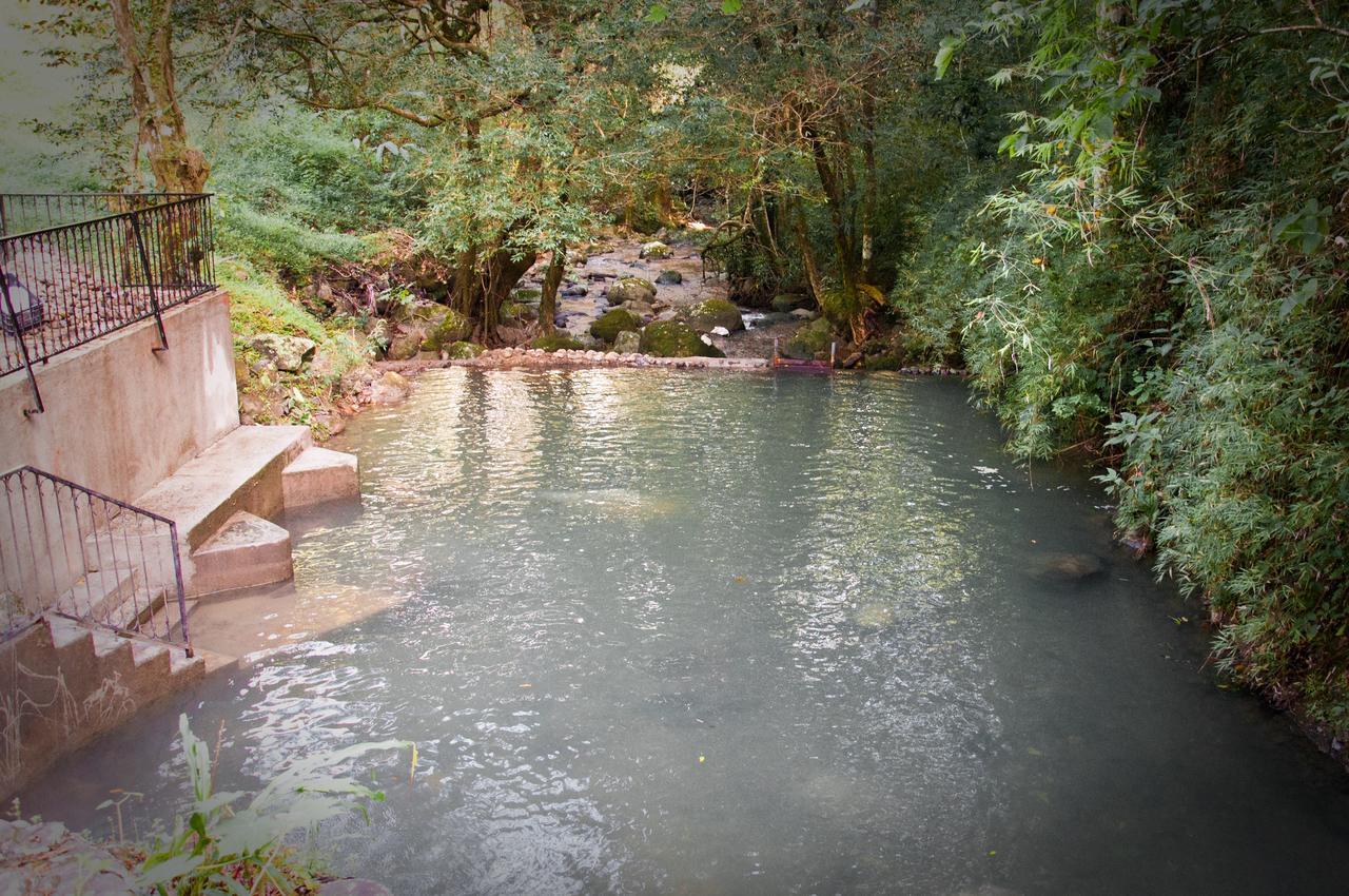 Mamallena Eco Lodge La Laguna de San Carlos Номер фото