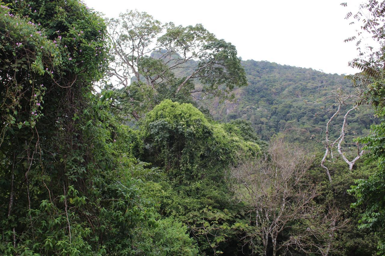 Mamallena Eco Lodge La Laguna de San Carlos Екстер'єр фото
