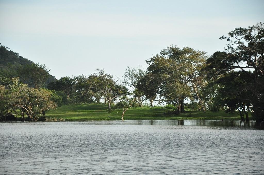 Mamallena Eco Lodge La Laguna de San Carlos Екстер'єр фото