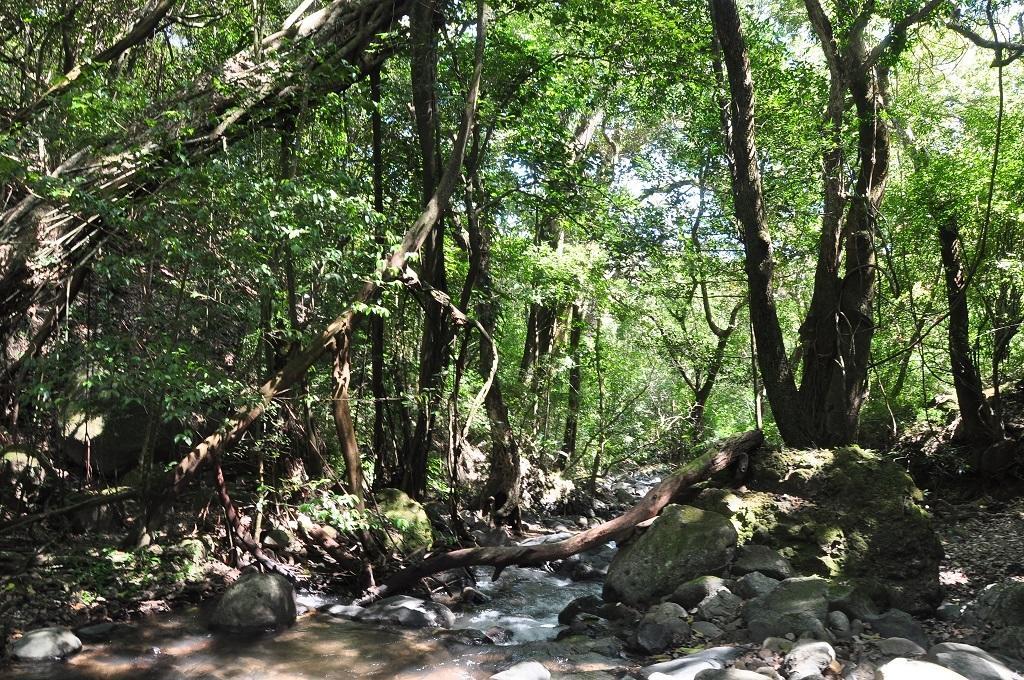 Mamallena Eco Lodge La Laguna de San Carlos Екстер'єр фото