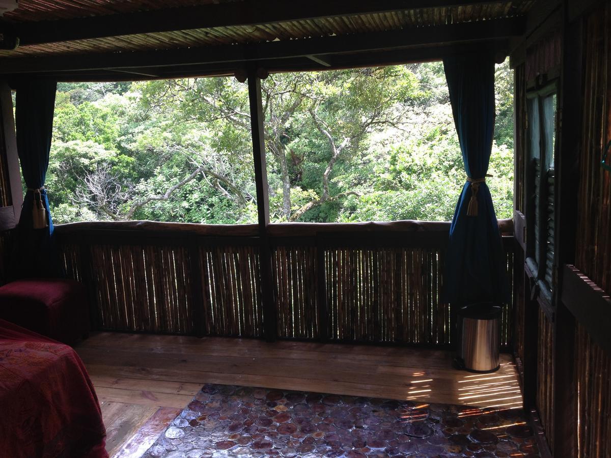 Mamallena Eco Lodge La Laguna de San Carlos Екстер'єр фото