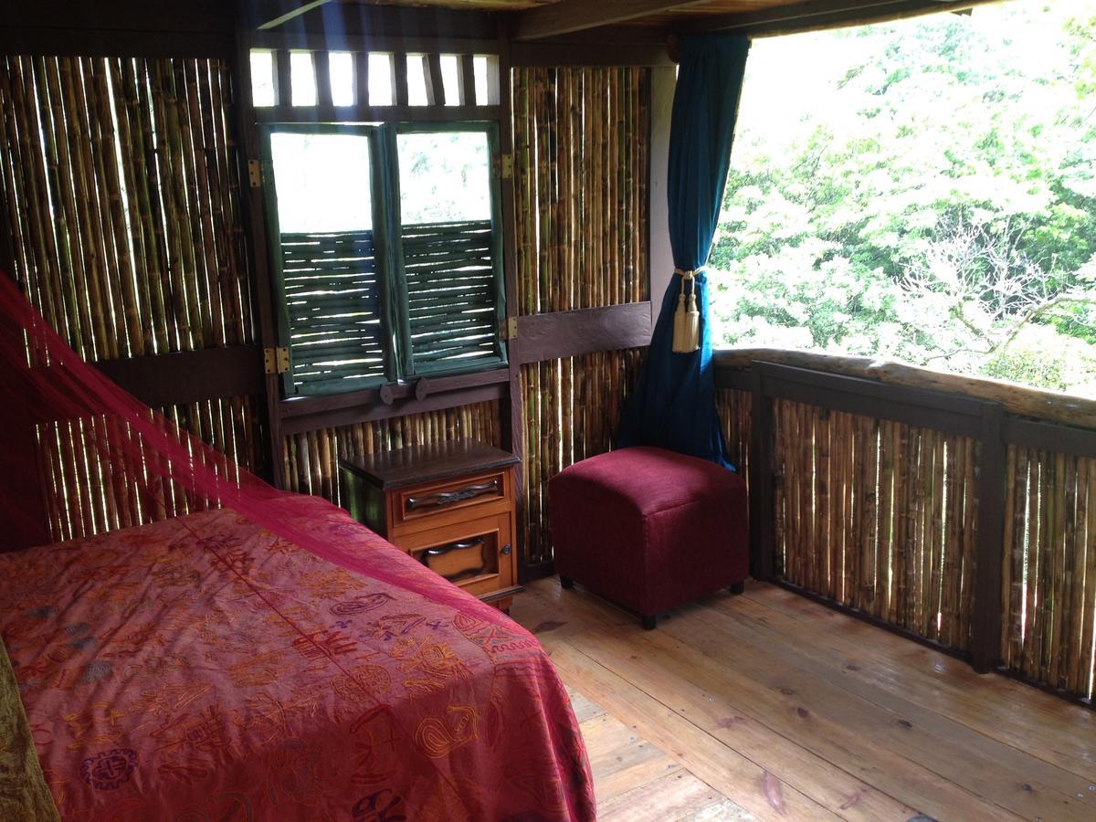 Mamallena Eco Lodge La Laguna de San Carlos Екстер'єр фото