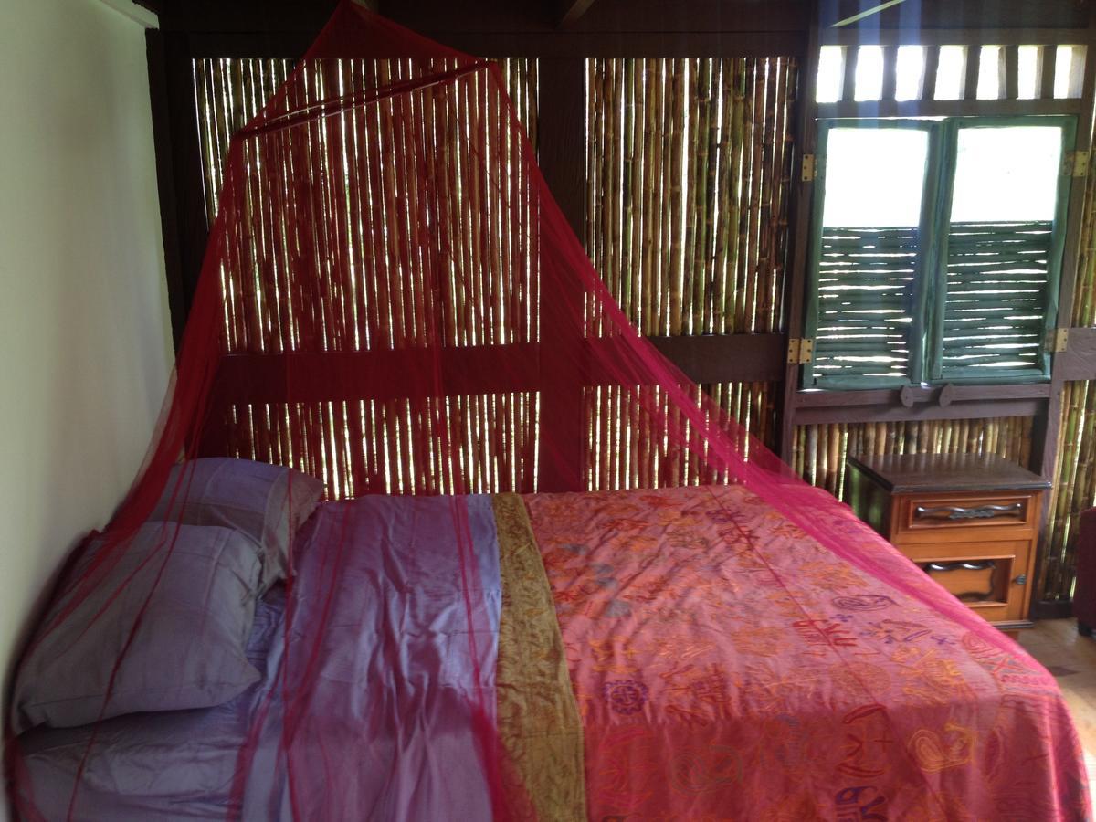 Mamallena Eco Lodge La Laguna de San Carlos Екстер'єр фото