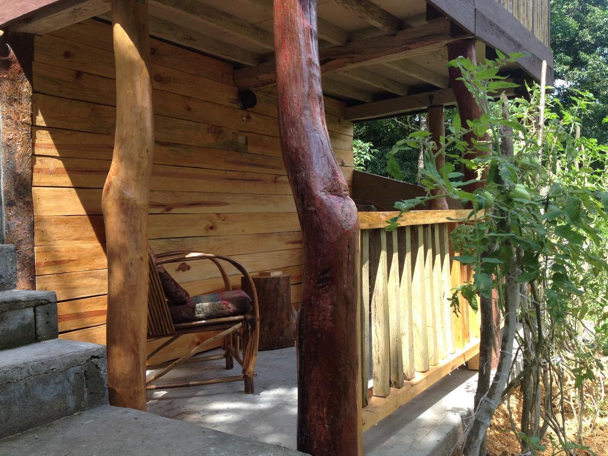 Mamallena Eco Lodge La Laguna de San Carlos Екстер'єр фото