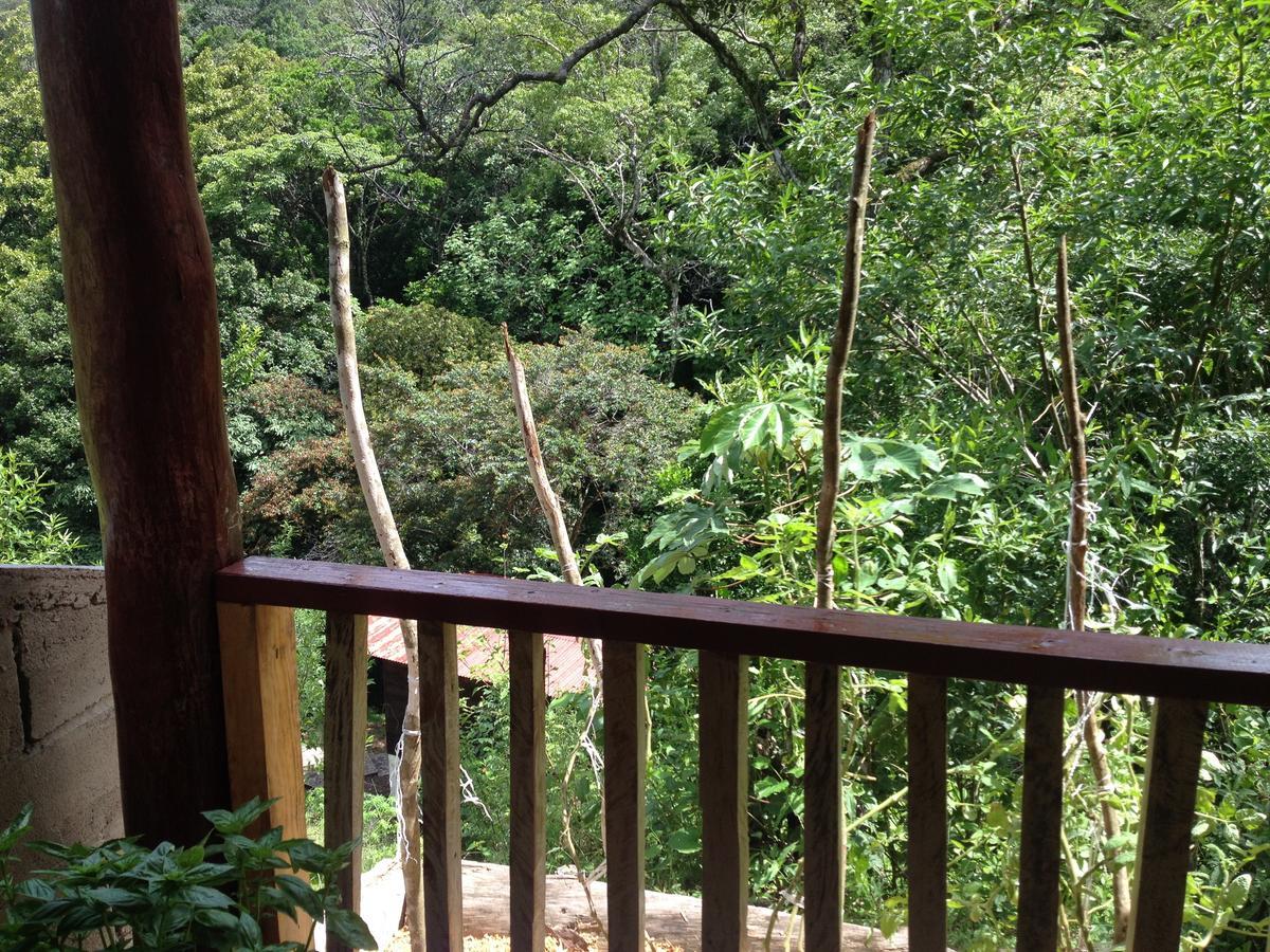 Mamallena Eco Lodge La Laguna de San Carlos Екстер'єр фото