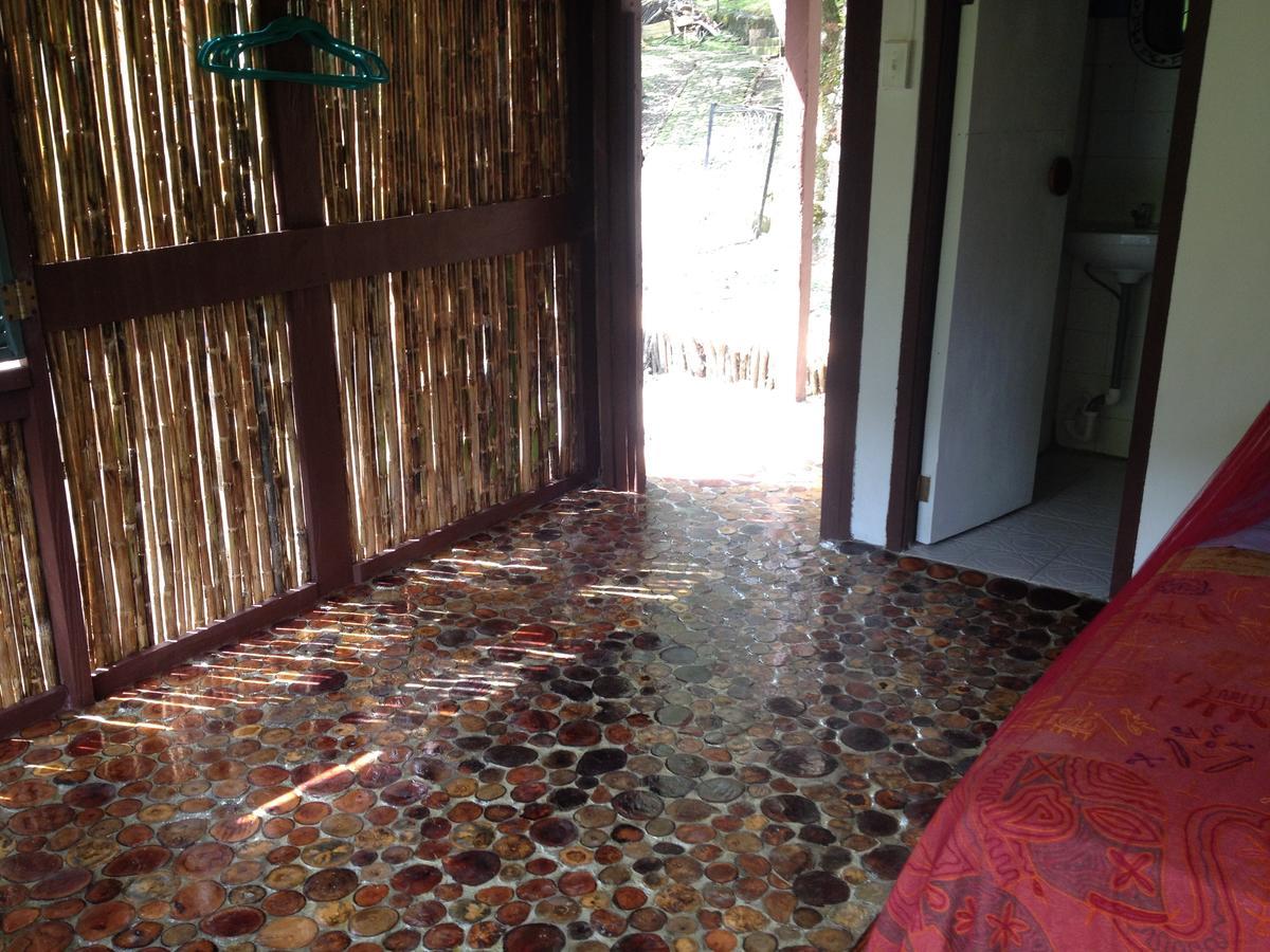Mamallena Eco Lodge La Laguna de San Carlos Екстер'єр фото